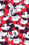 L’adoucissement progressif de Mickey : la preuve par le visage
