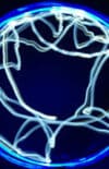 Cerveau et cosmos. Des connexions inattendues