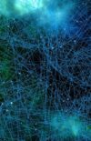 Une nouvelle approche du neurone : la théorie du neurone mécanique