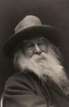 La dilatation chez Walt Whitman