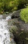 L’eau comme réalité naturelle dans le Catéchisme de l’Église catholique