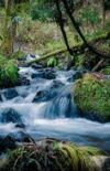 Brève note sur la nécessité terrestre du cycle de l’eau