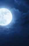 Thérèse, la lune et François (Dimanche de la miséricorde, 2e dimanche de Pâques, 27 avril 2025)