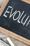 L’évolution de l’évolution. Une logique secrète (note programmatique)
